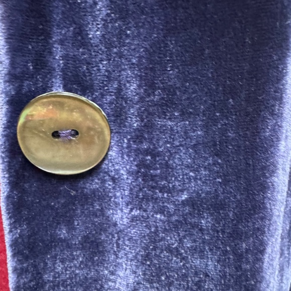 Graham & Spenser Blue Velvet 3 button Jacket Sz M - Picture 6 of 12